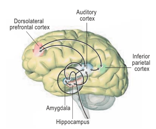 Mengatasi Tinnitus berdasarkan&nbsp;Penyebabnya